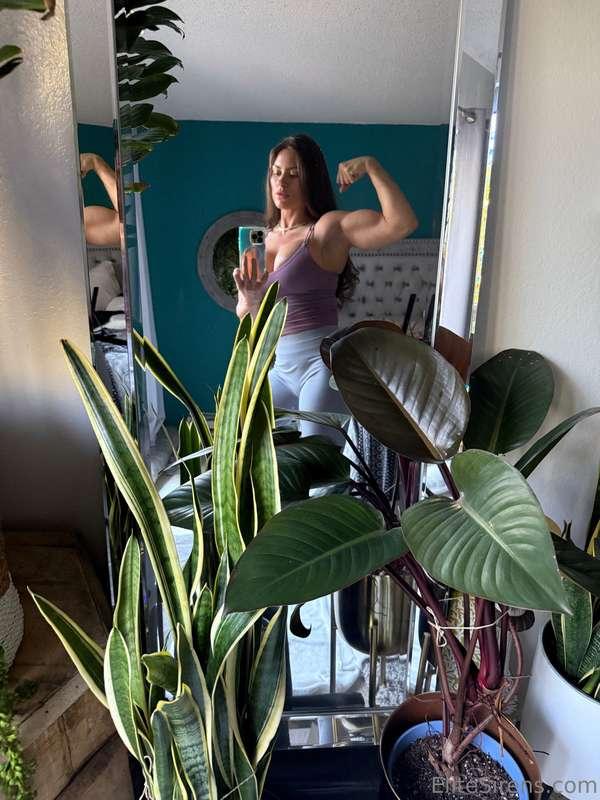 Current shape…what do you think of it? 