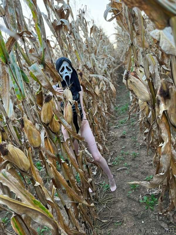 tiny_babygirl01 image #1