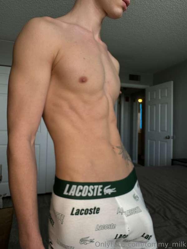 tommy_milk image #1