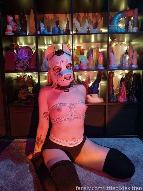 littlepixiekitten image #2