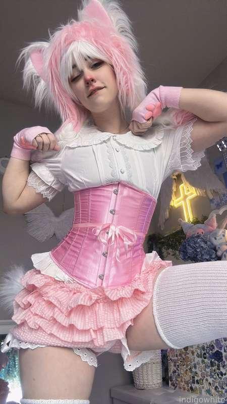 indigowhite image #39