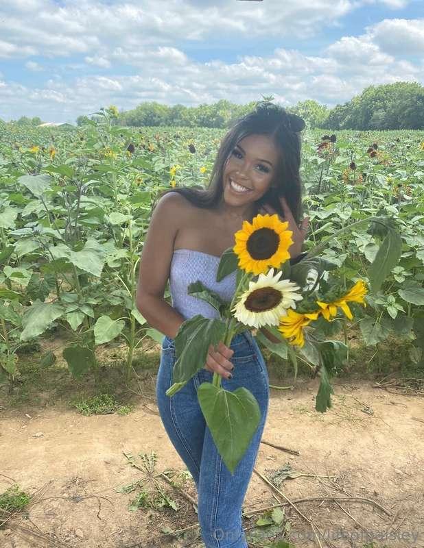 I had so much fun picking these sunflowers on this beautiful..