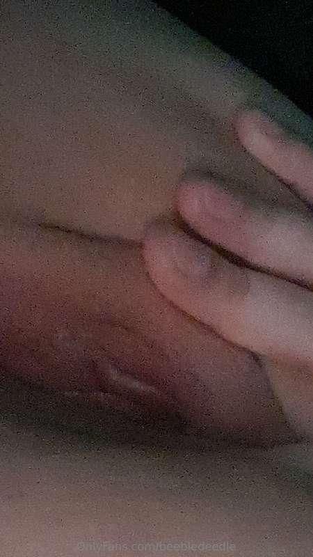 beebledeedle image #0