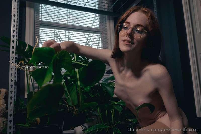 jessiewolfexoxo image #5