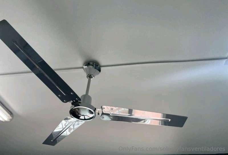Steel lover fan 🔗
