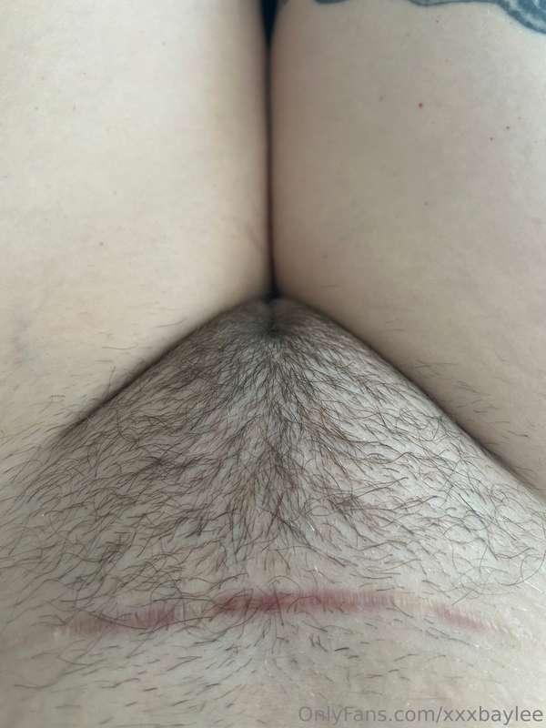 🐱 
