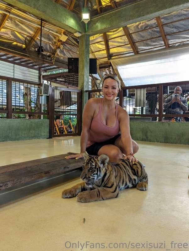 Only have guts for the babies 🐅