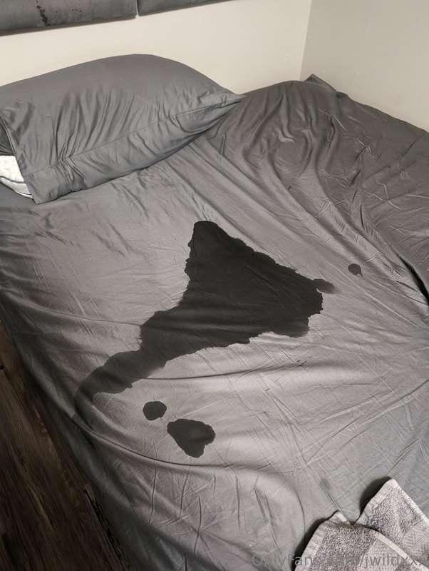 I just fucked a girl I met in my complex while walking my do..