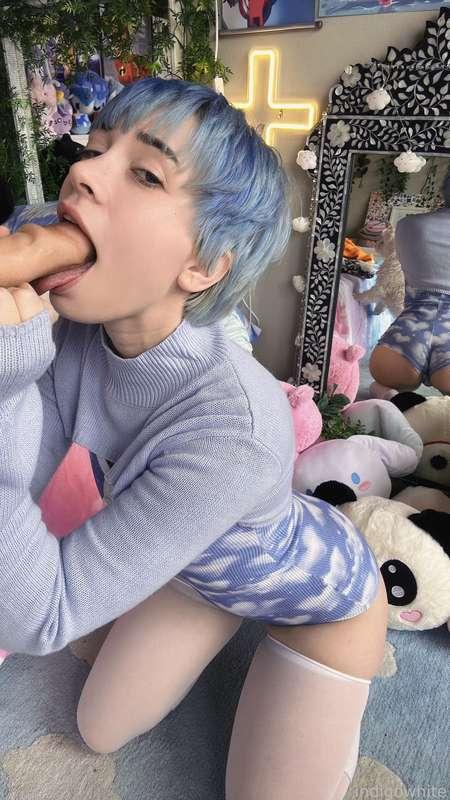 indigowhite image #85