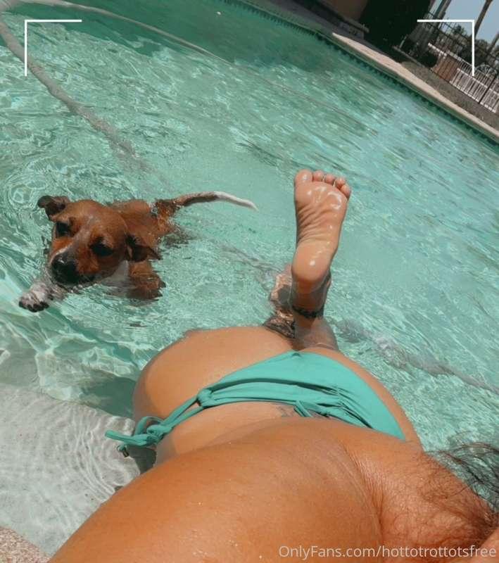 hottotrottotsfree image #0