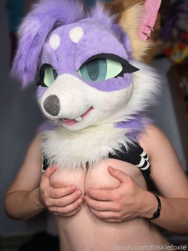 hey, my eyes are up here! 👀🍒

#murrsuit #murrsuiter #furry #boobs #tits