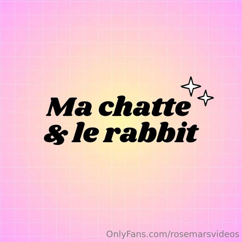 Ma chatte et le rabbit, une grande histoire d'amour 🥰 Je me ..