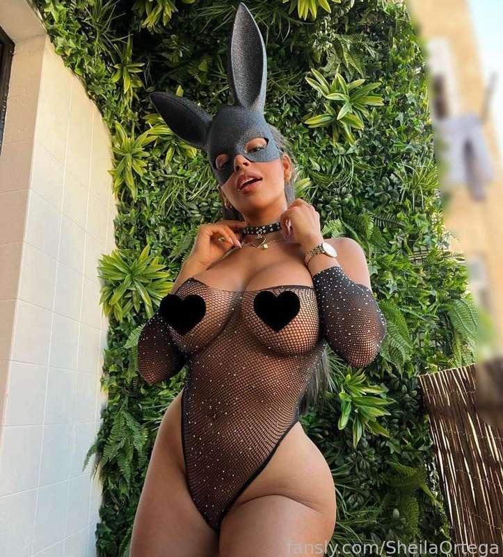 As a bunny, ready to jump on top of you. 💦🙈

#pornstar #bunny #dress #costume #heart #fetish #girlfriends #videocall #customvideo #fyp #latina #glitter #clock #watch #lavios #sexy #sexting #black 