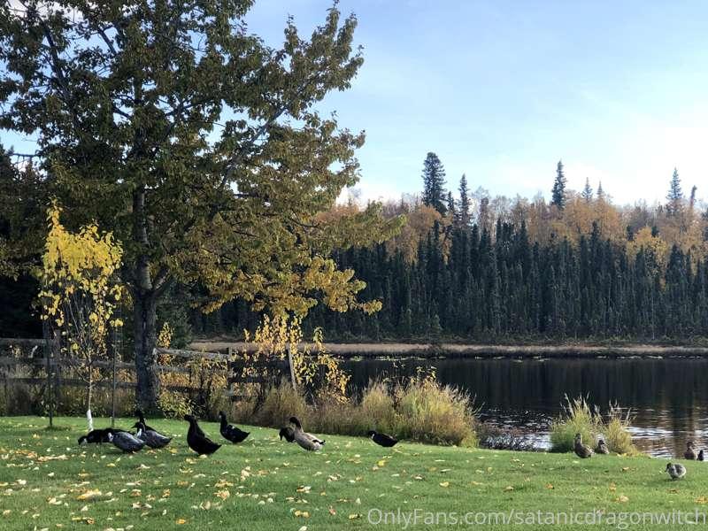 One of my pagan friends' house on a lake in Alaska - photos ..