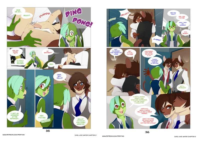 Cats Love Water II - pages 35, 36 + Rewards