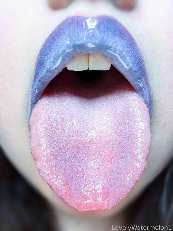 lovelywatermelon1 image #11