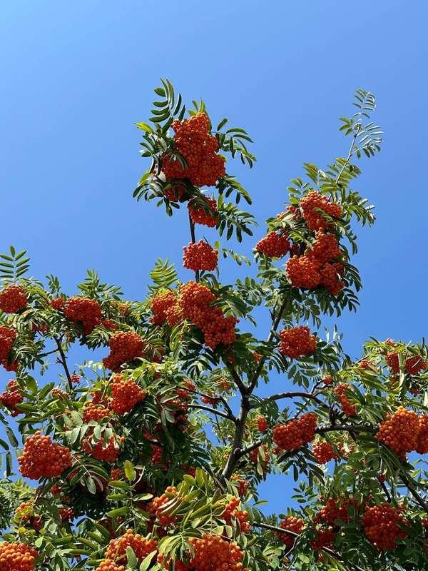 don't know what could be more beautiful than nature☘️gratitu..