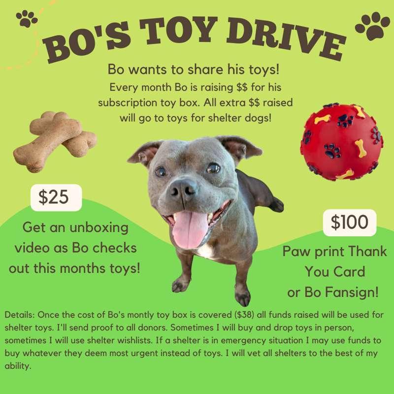 BO'S SEPTEMBER TOY DRIVE - USE THIS POST TO DONATE

Mr. Boja..
