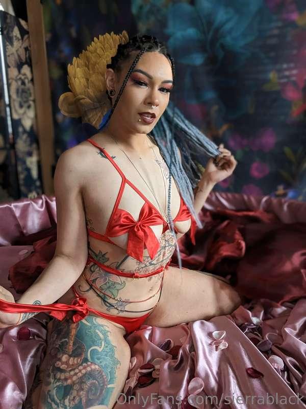 sierrablack image #15