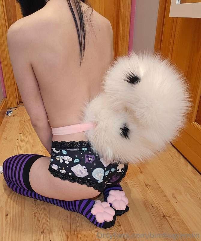 Puppy girl? 🐶