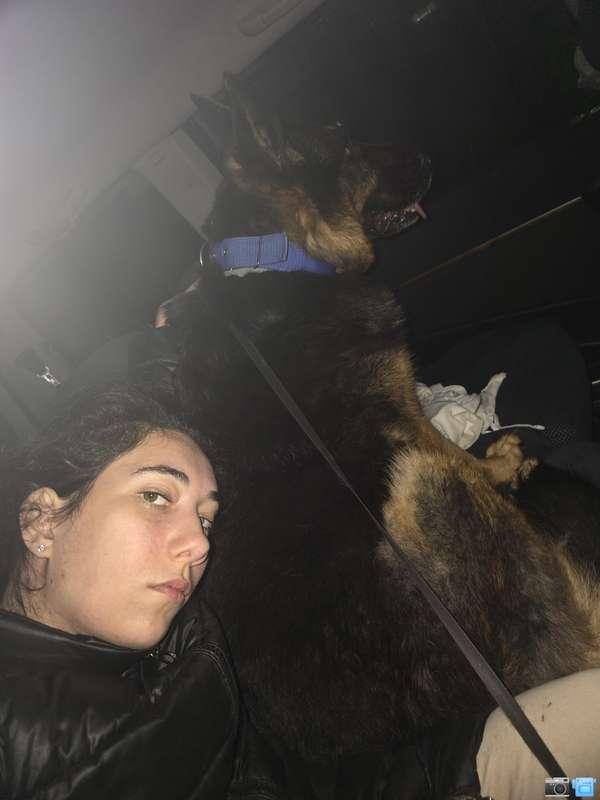 😍🥰