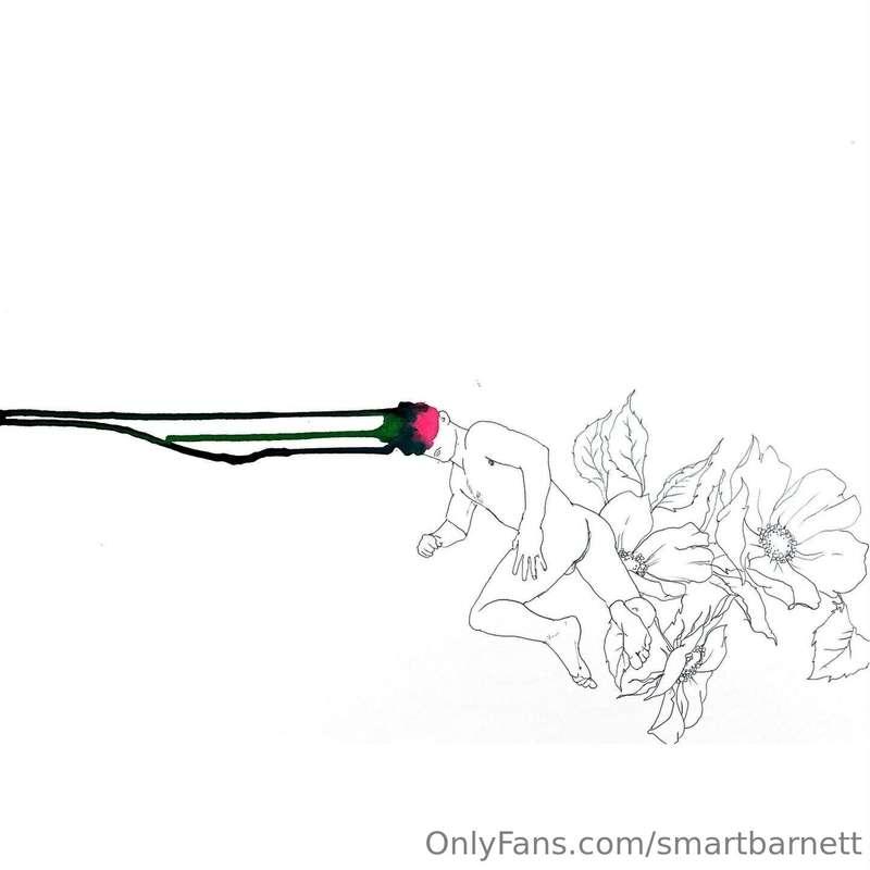 smartbarnett image #7