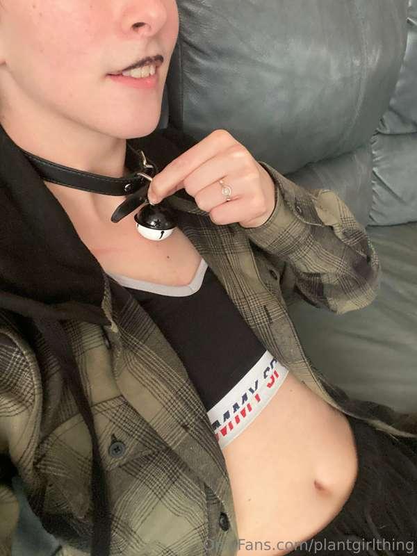 hehe..collars are so cool..
