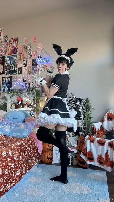 indigowhite image #24