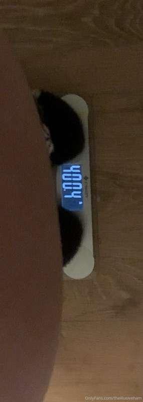 theillusiveham image #10