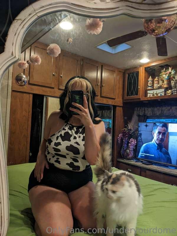 underyourdome image #8