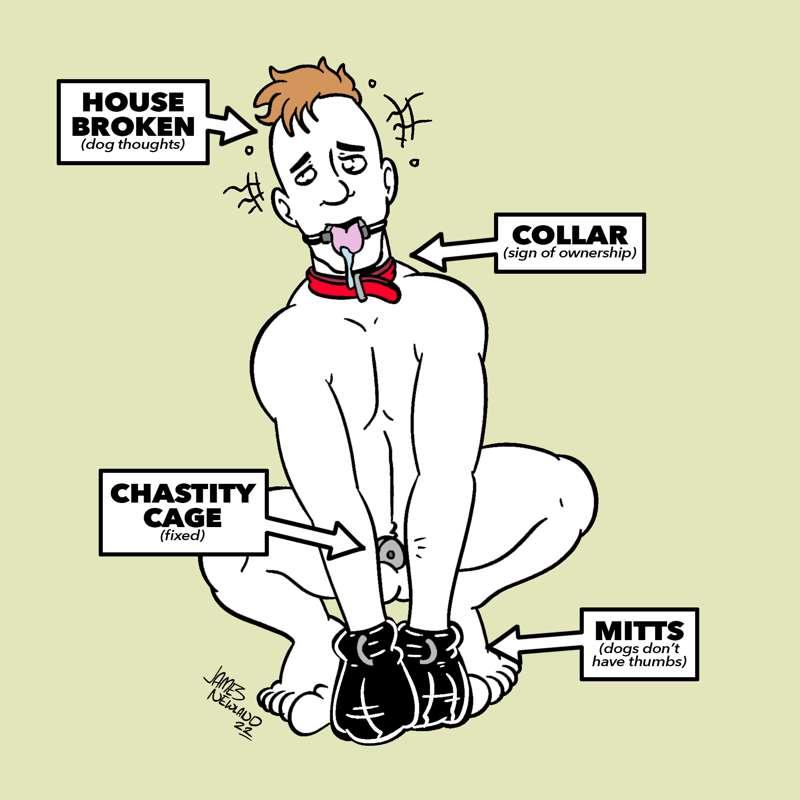 Dog Boys