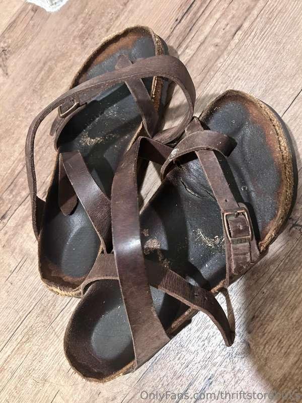 Almost birk season. Not sure if these poor old girls are gon..