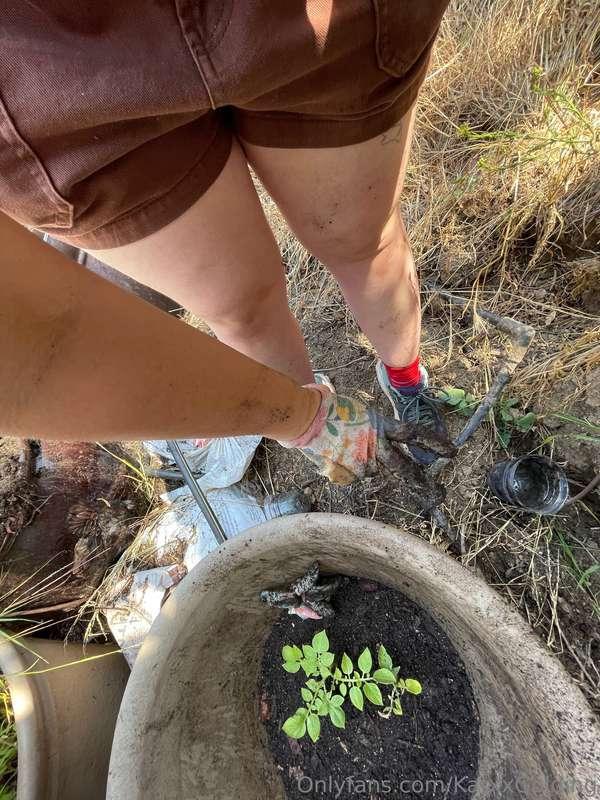 katxxgolding image #1