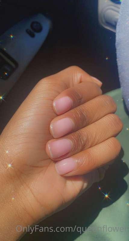 queenflower image #0