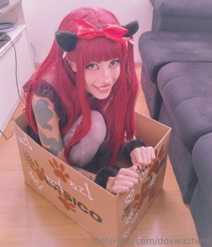 onlydoxfans image #1
