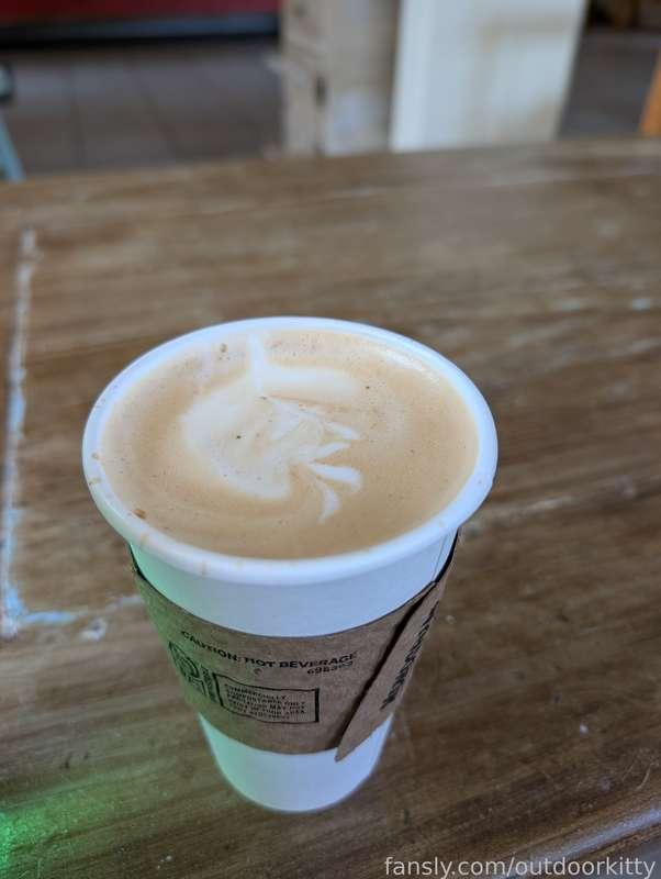 outdoorkitty image #8