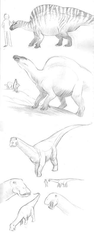 Extinct Creatures #7!