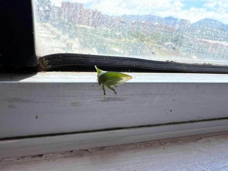 Say hii little buddy <3