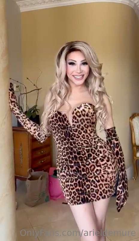 arieldemure main image
