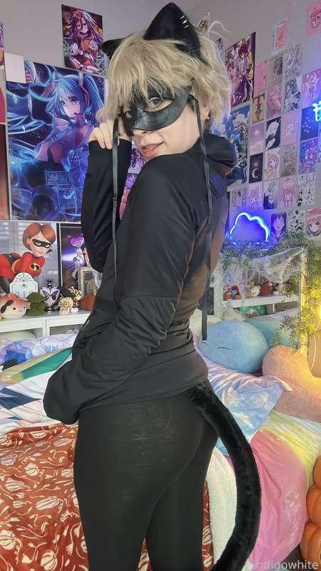 indigowhite image #102