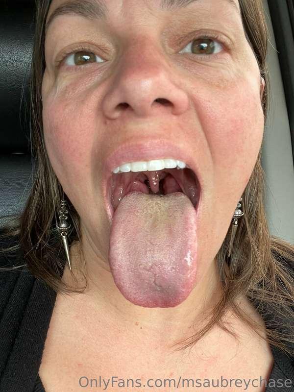 smell my road trip breath! rub my fuzzy tongue. 👅