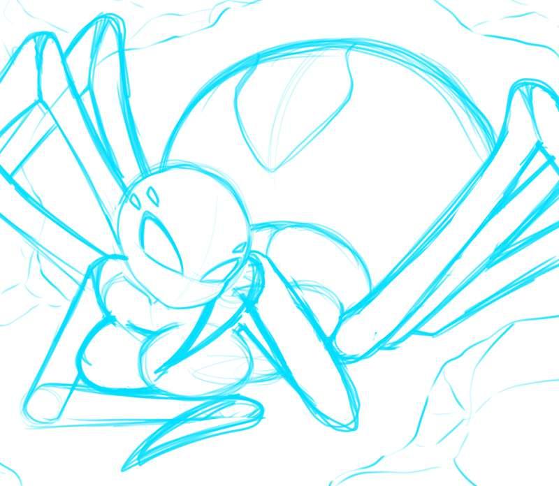 Spider Wip