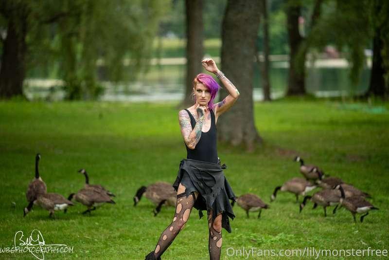 lilymonsterfree image #22