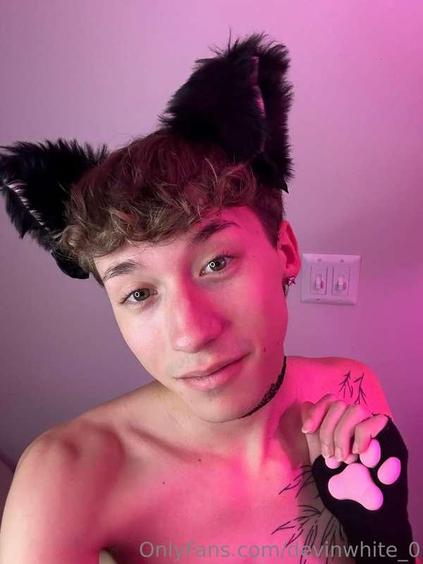 devinwhite_0 image #0