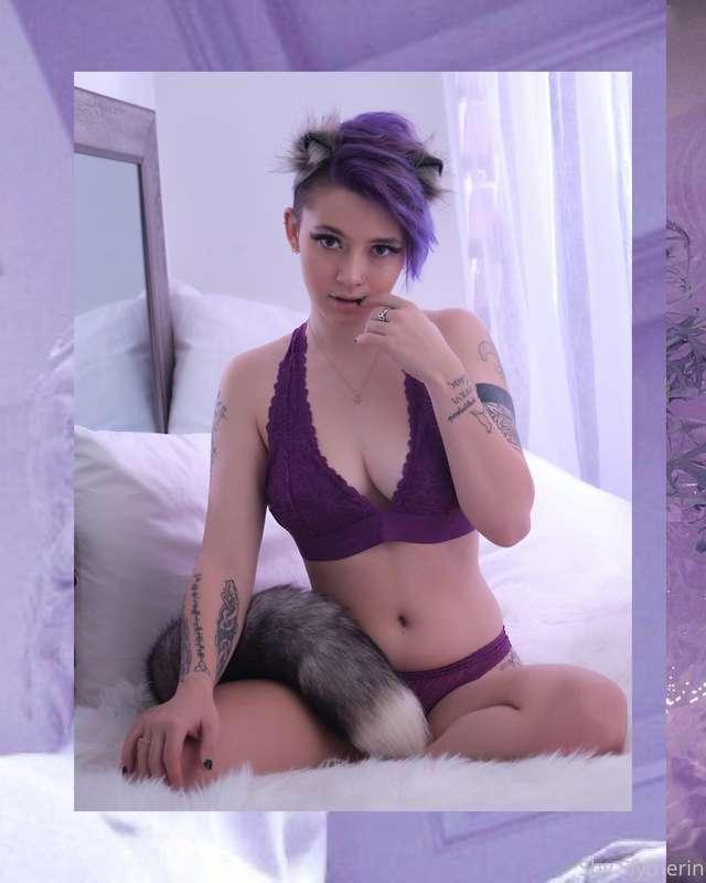 Just a good little kitten 🐱