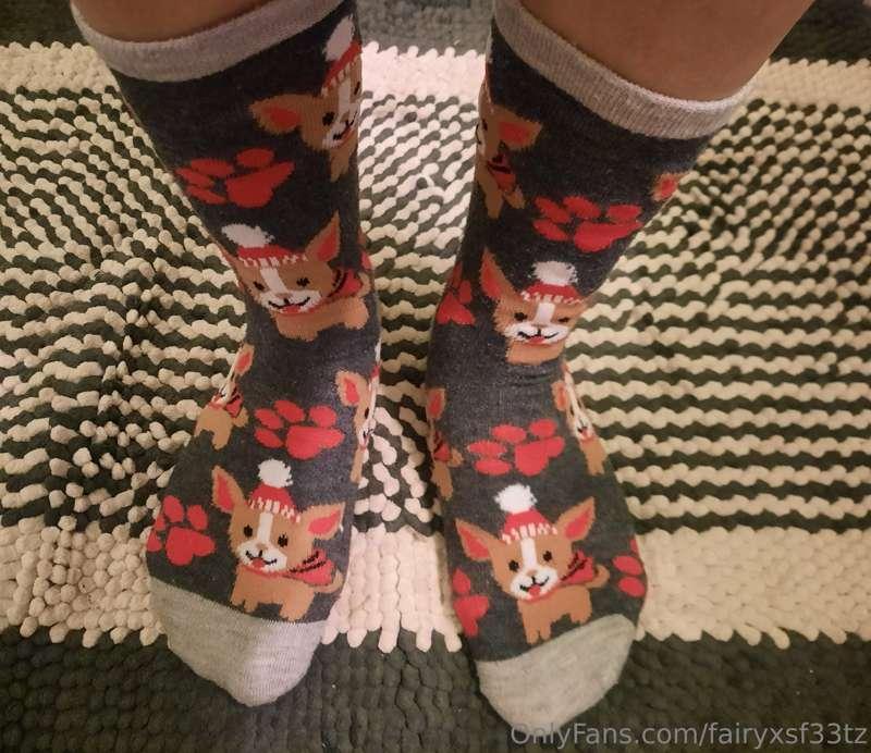 Just wanted share my favorite Christmas socks with you
