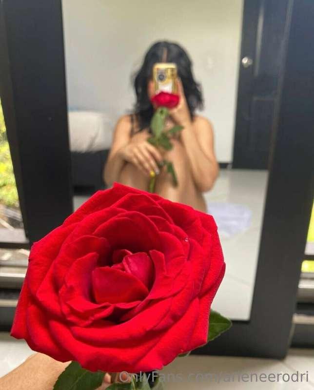 🌹
