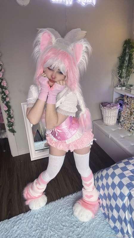 indigowhite image #22