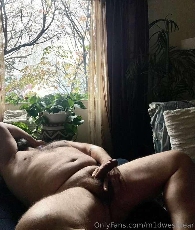 m1dwestbear image #15