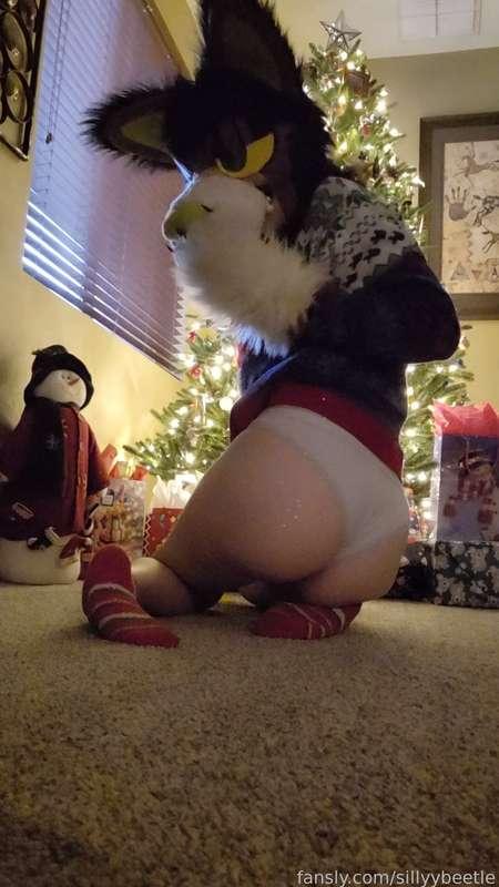 sillyybeetle image #10